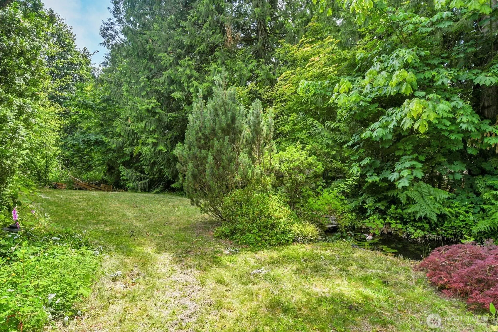25115 SE 133rd Way , Issaquah, WA 98027