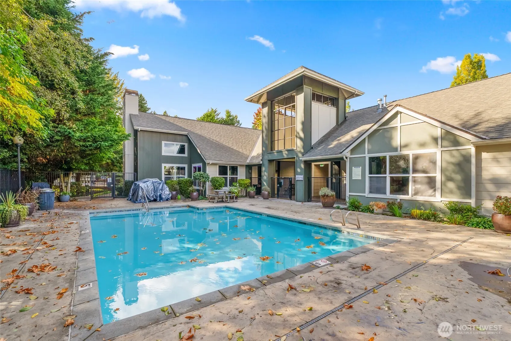 3116 164th Street #301, Lynnwood, WA 98087