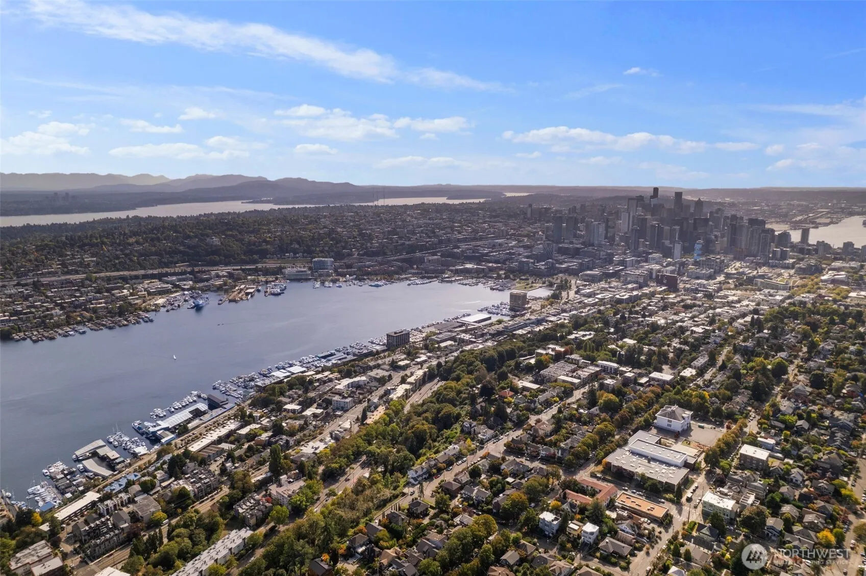 559 McGraw Street #402, Seattle, WA 98109