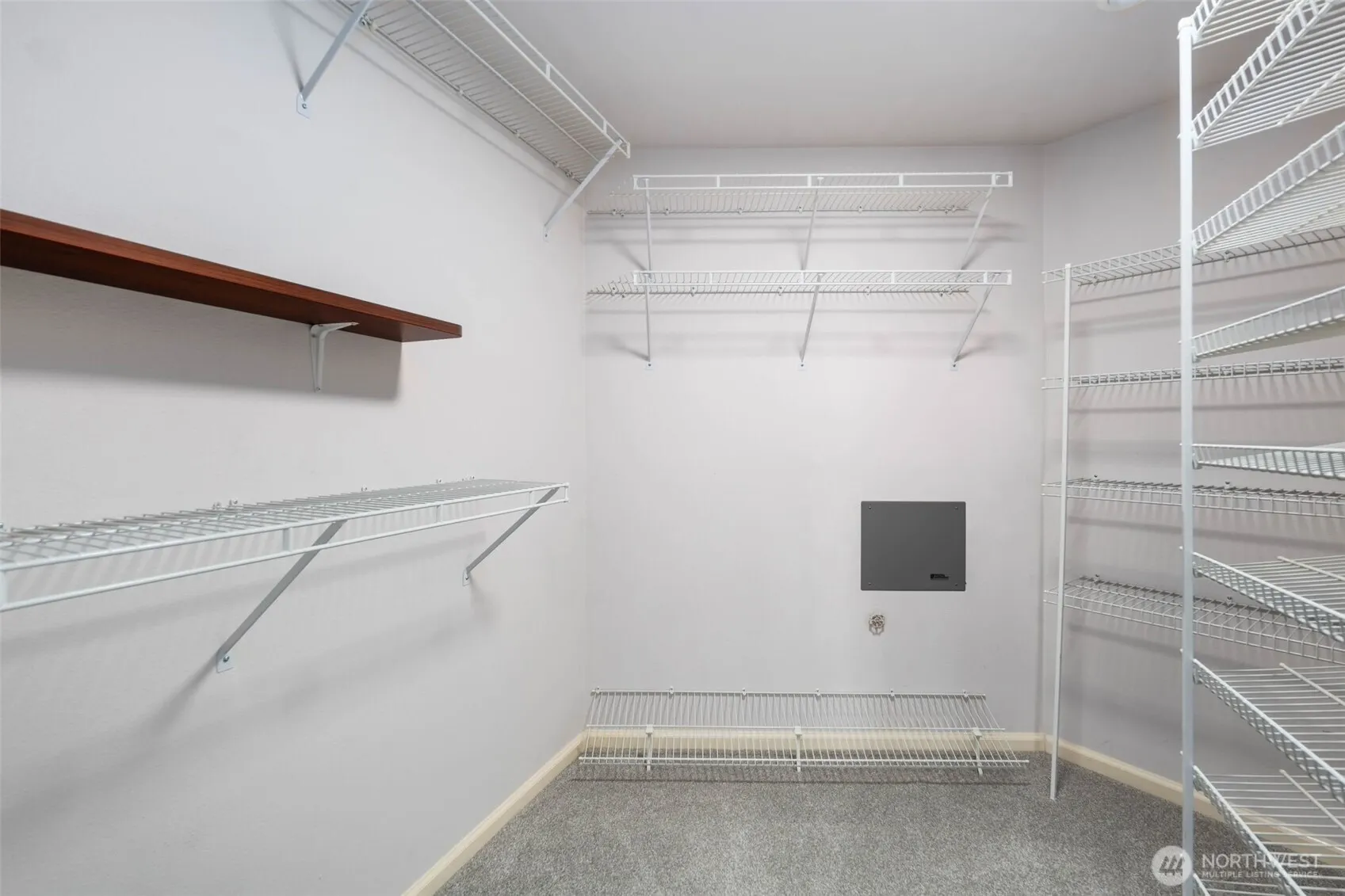 559 McGraw Street #402, Seattle, WA 98109