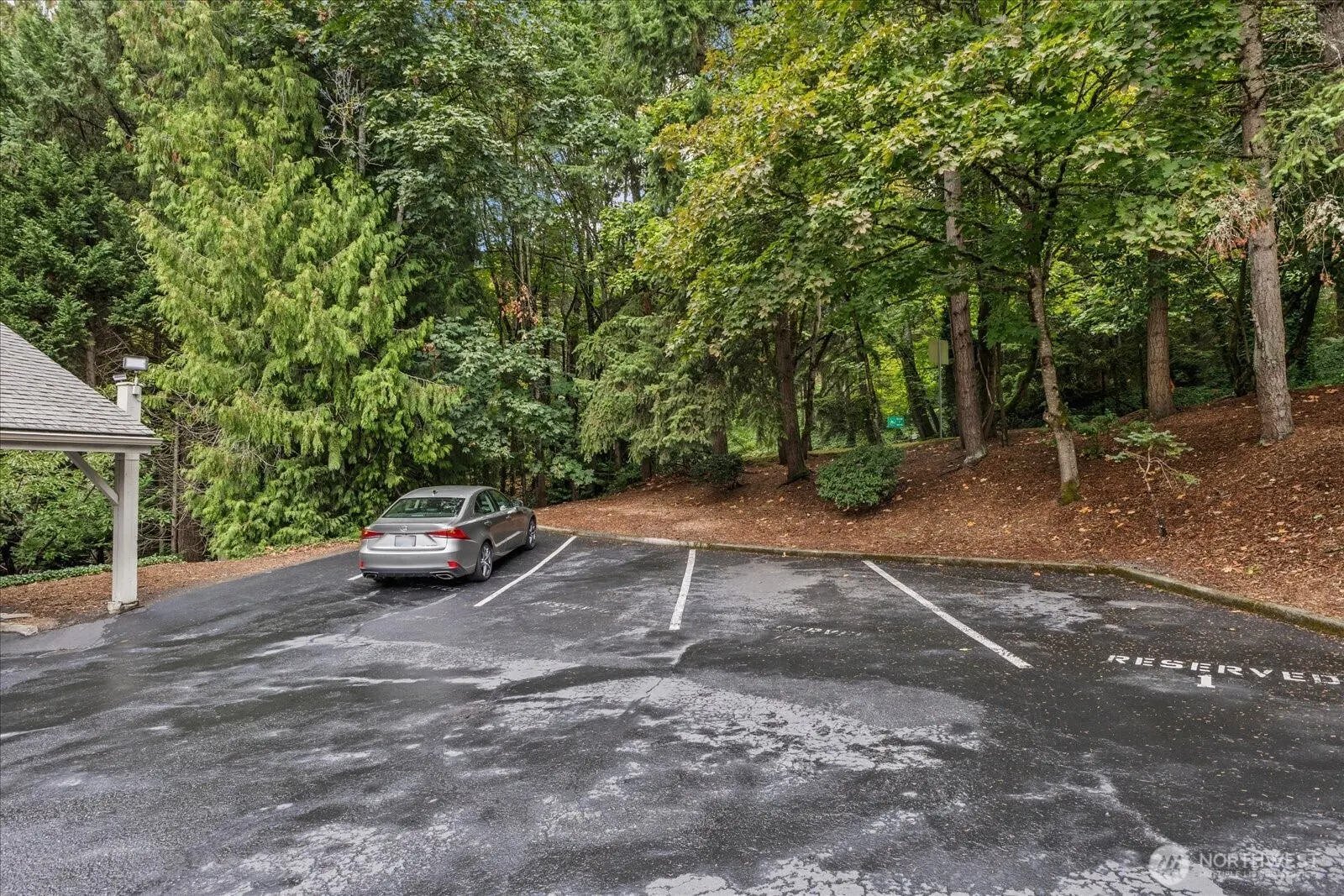3921 108th Avenue NE #A101, Bellevue, WA 98004