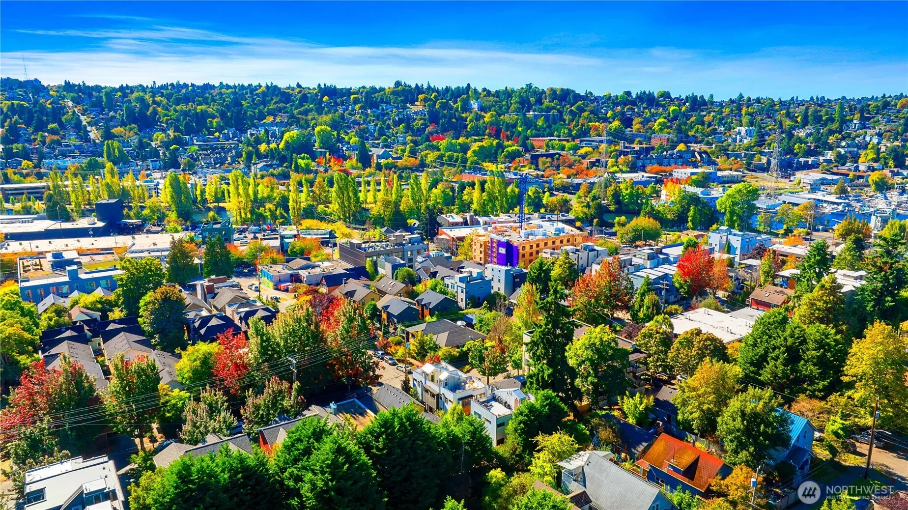 116 N 39th Street , Seattle, WA 98103