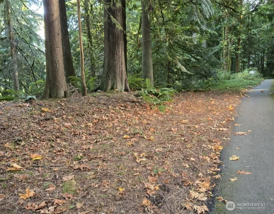 5320 279th Avenue NE, Redmond, WA 98053