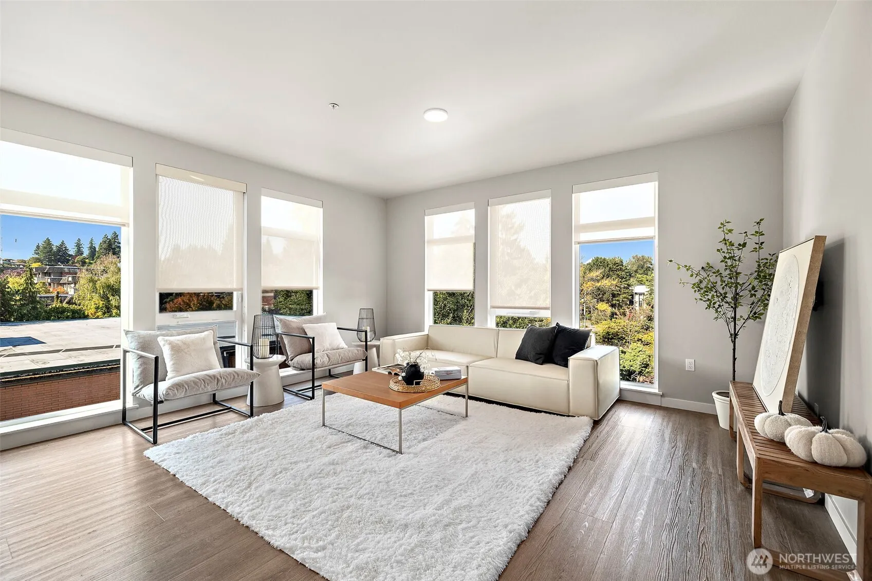 1085 103rd Avenue NE #227, Bellevue, WA 98004
