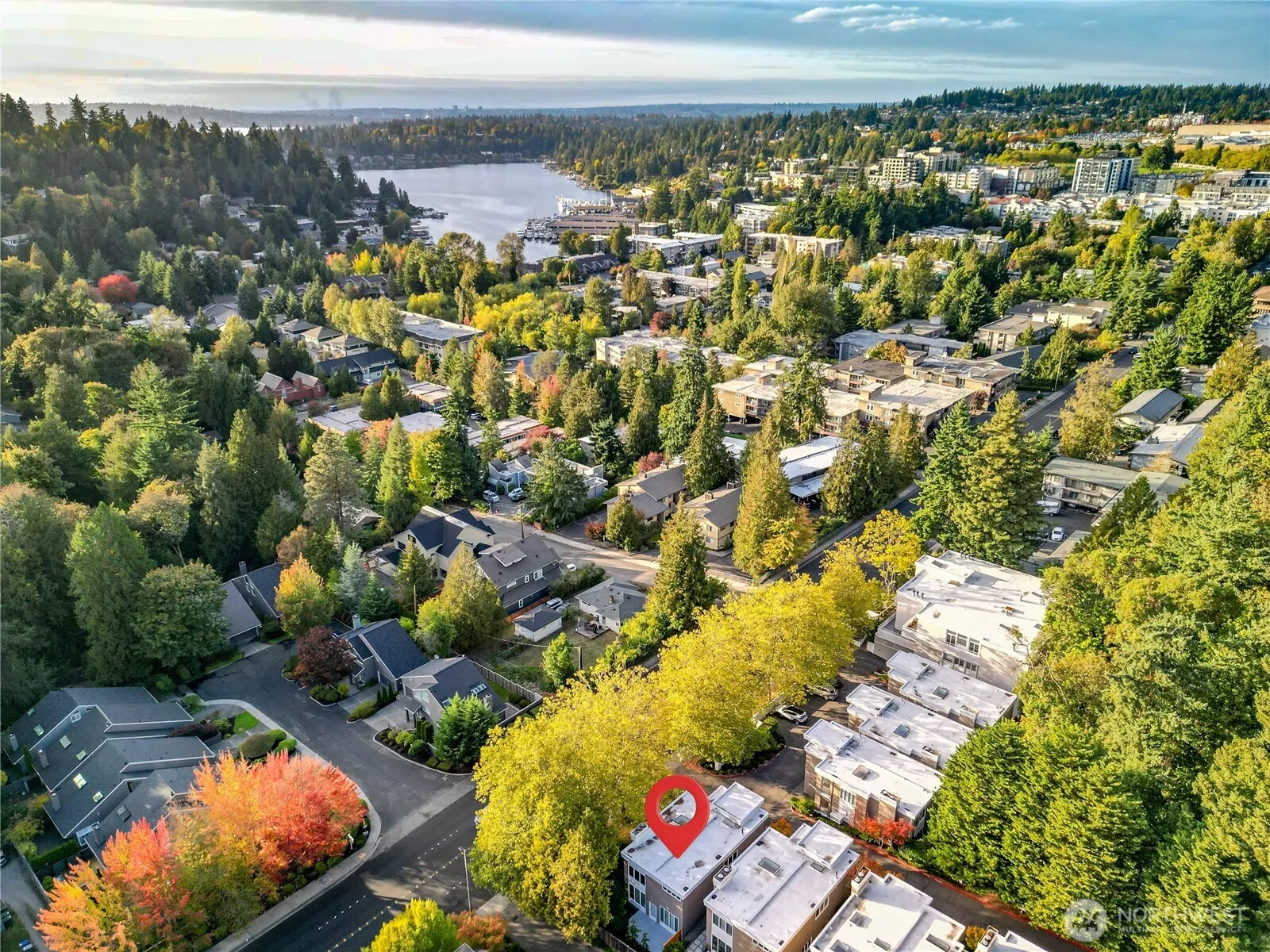 608 Bellevue Way SE #F1, Bellevue, WA 98004-6633