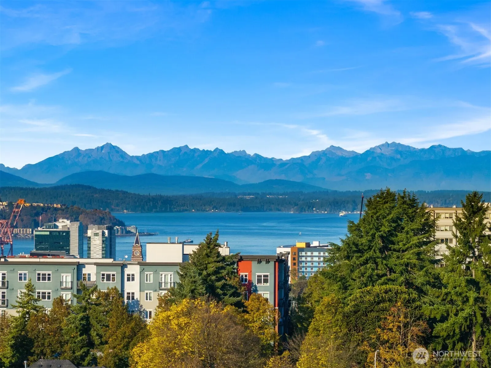 303 23rd Avenue S #310, Seattle, WA 98144