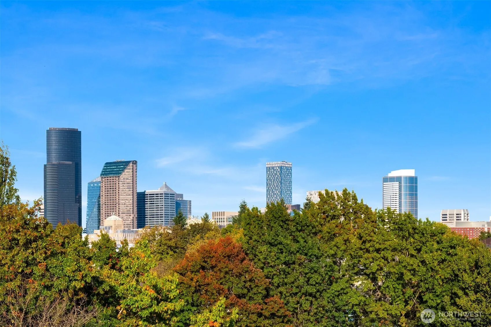 303 23rd Avenue S #310, Seattle, WA 98144