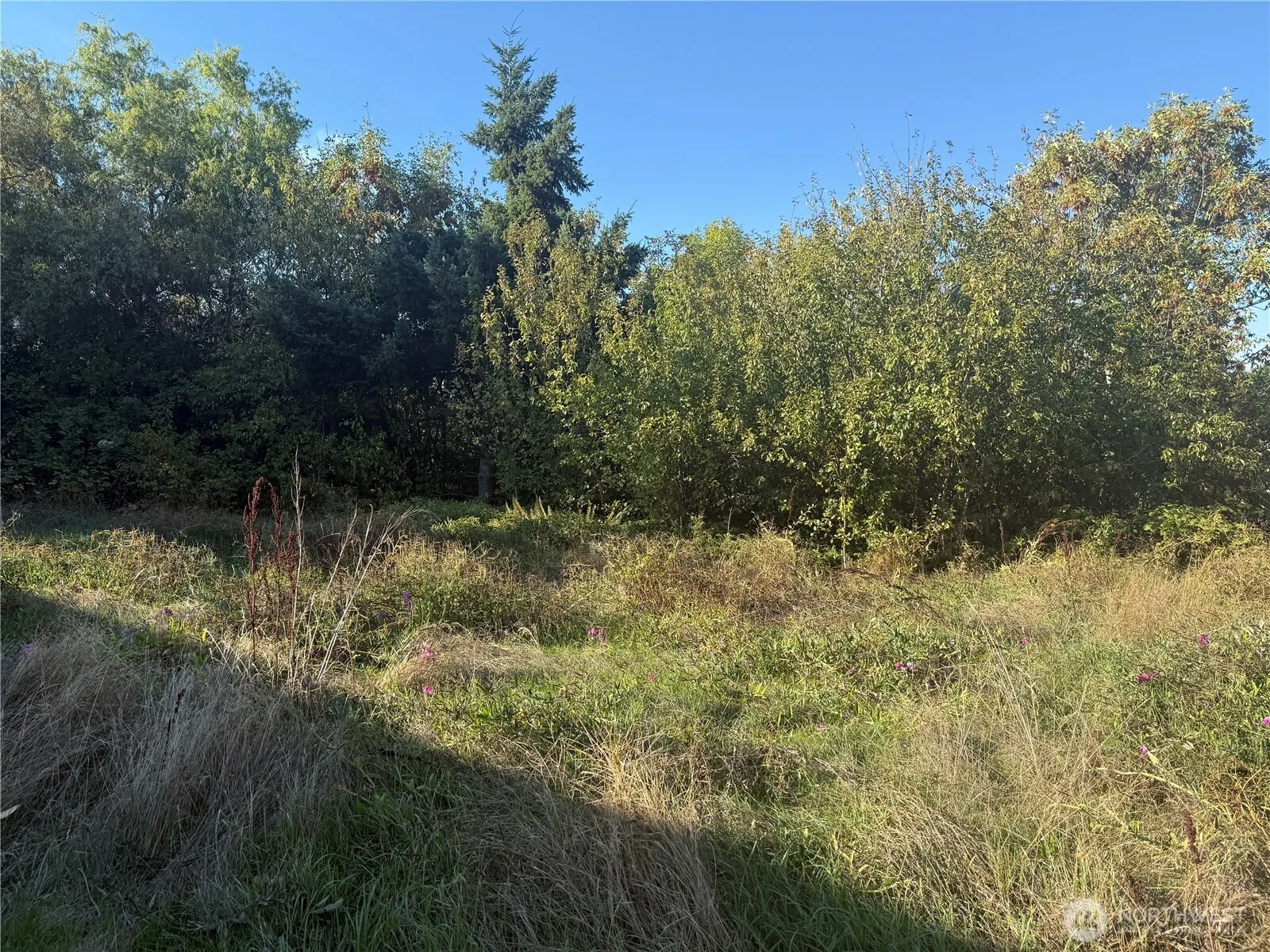 2928 S Bradford Street , Seattle, WA 98108