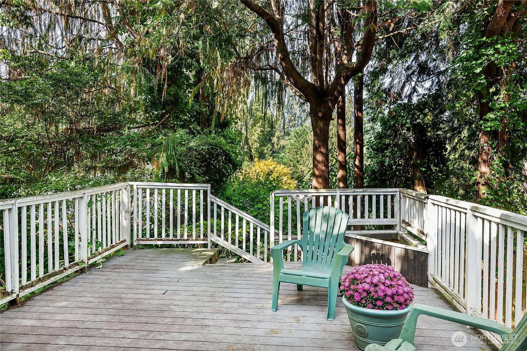 9521 25th Avenue NW, Seattle, WA 98117