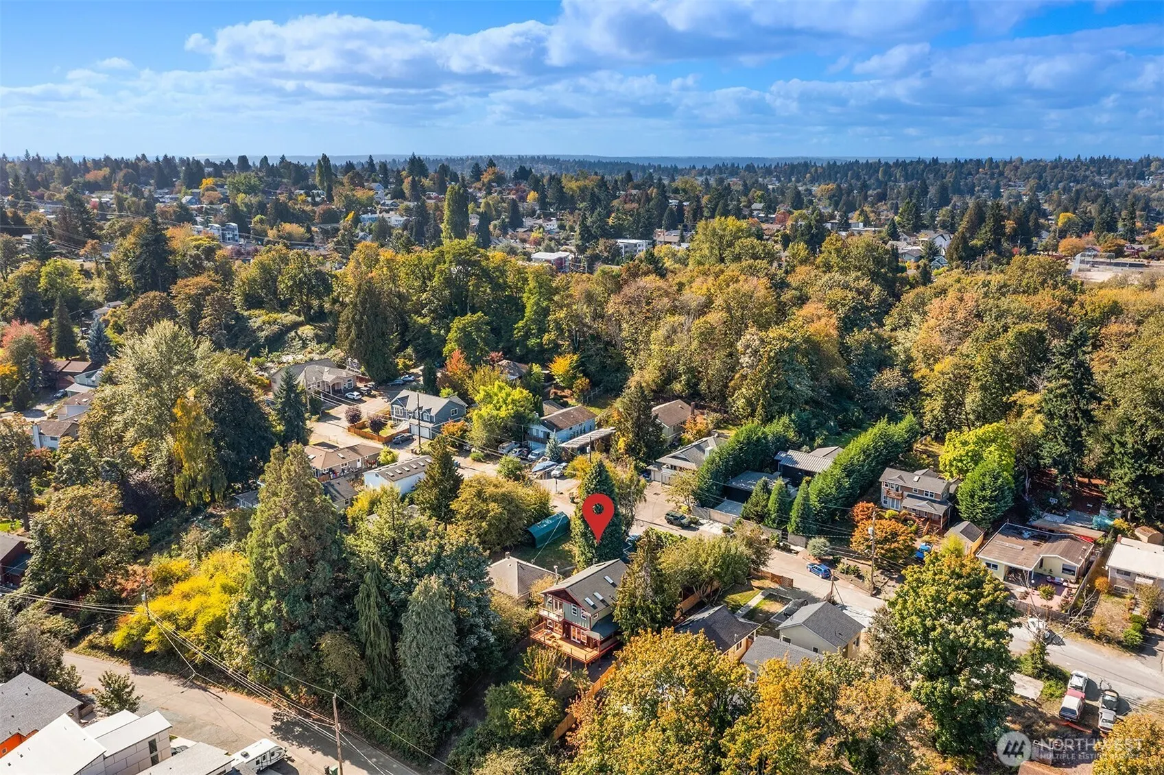 7337 7TH Avenue SW, Seattle, WA 98106