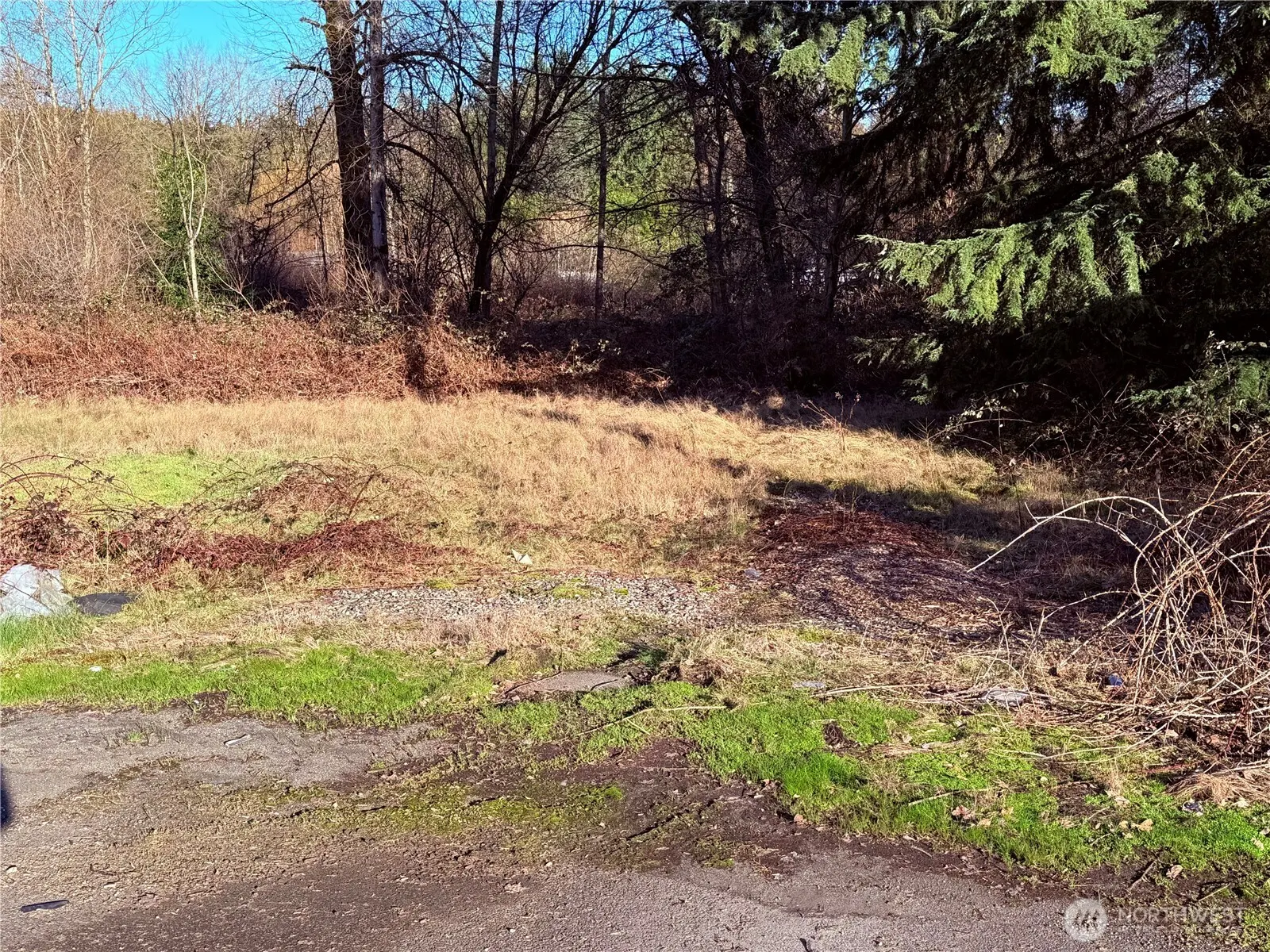 1 xxx State Route 9 SE, Woodinville, WA 98072