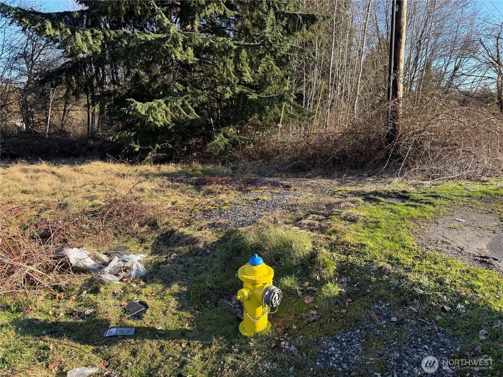 1 xxx State Route 9 SE, Woodinville, WA 98072