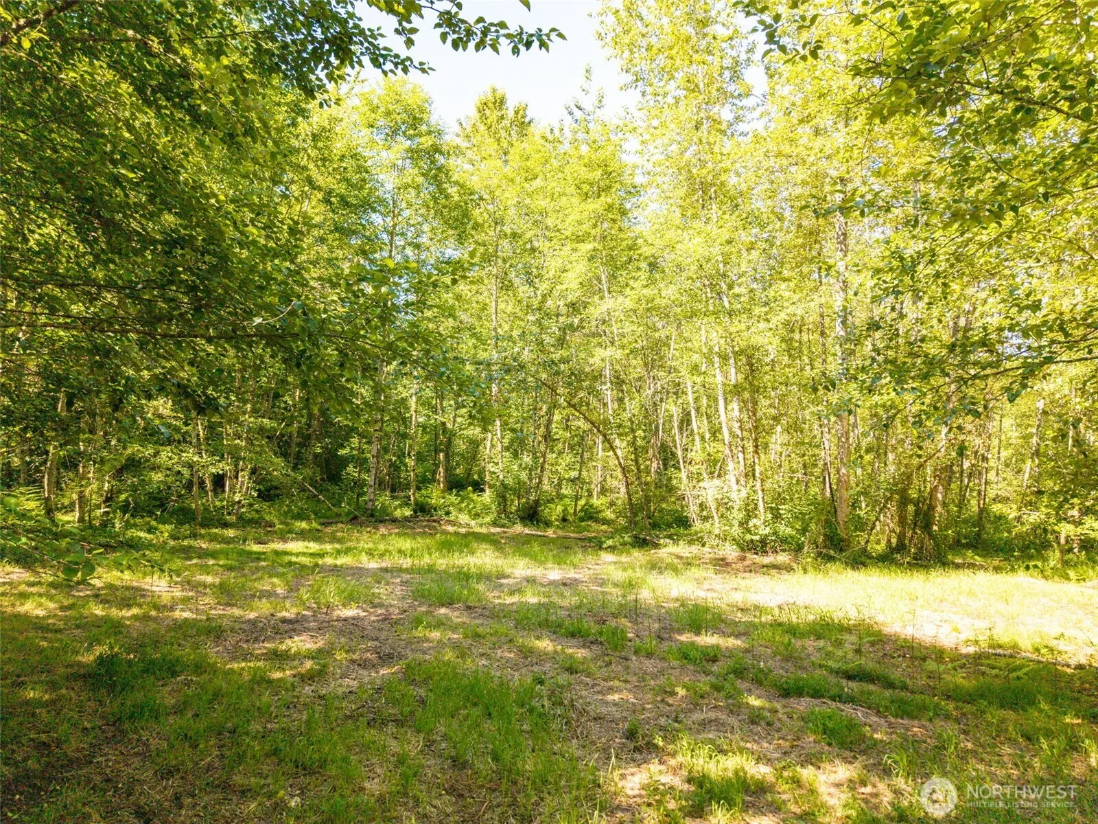 0 236th Avenue NE, Woodinville, WA 98077