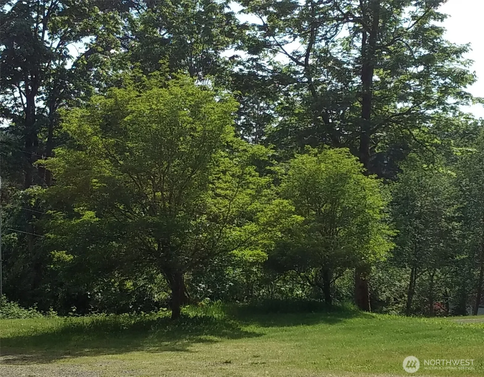 16345 Tiger Mountain Road SE, Issaquah, WA 98027