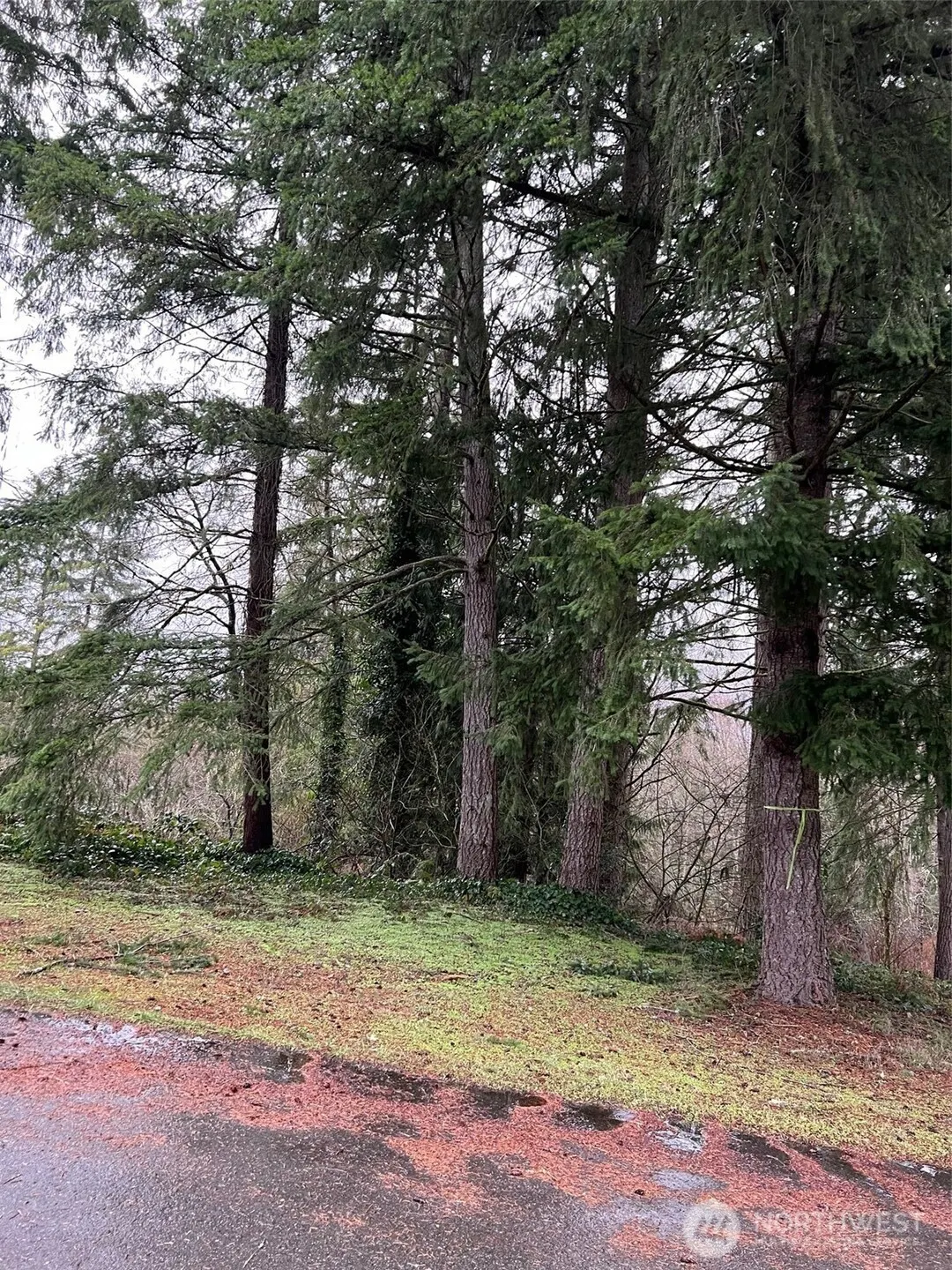 186 xx NE 161st Place , Woodinville, WA 98072