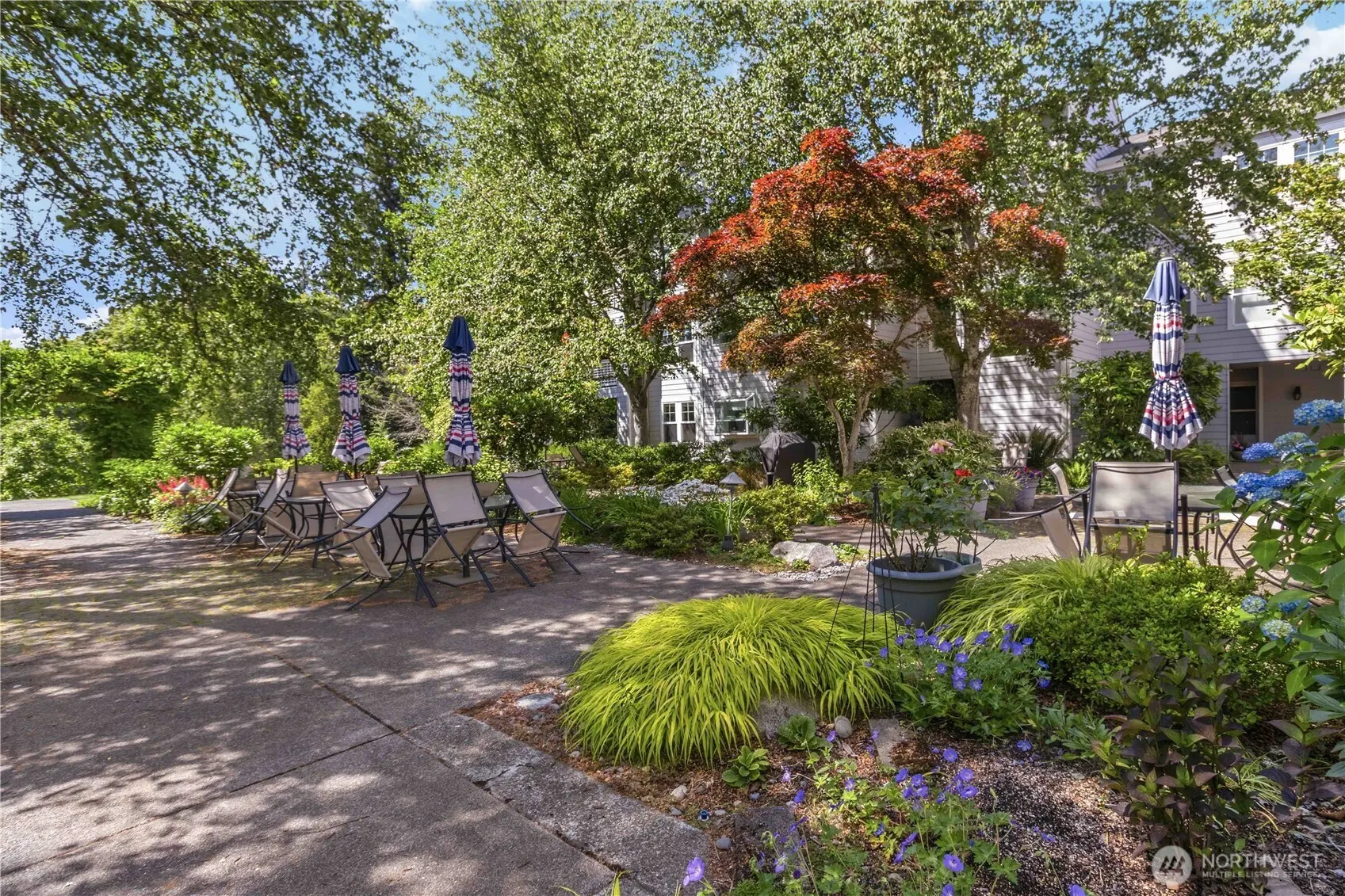 3941 226th Place SE #103, Issaquah, WA 98029