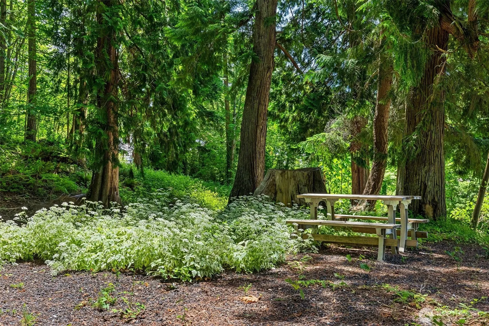 22122 SE 51st Place , Issaquah, WA 98029