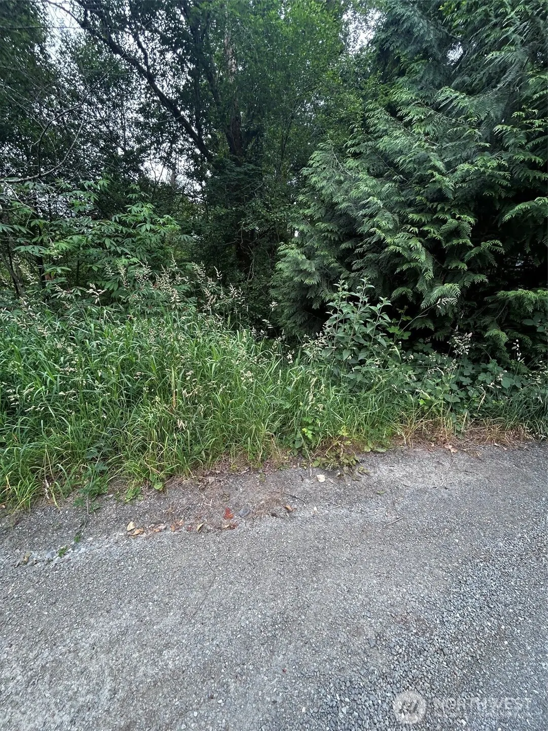 0 XXX NE 223rd Avenue , Woodinville, WA 98077