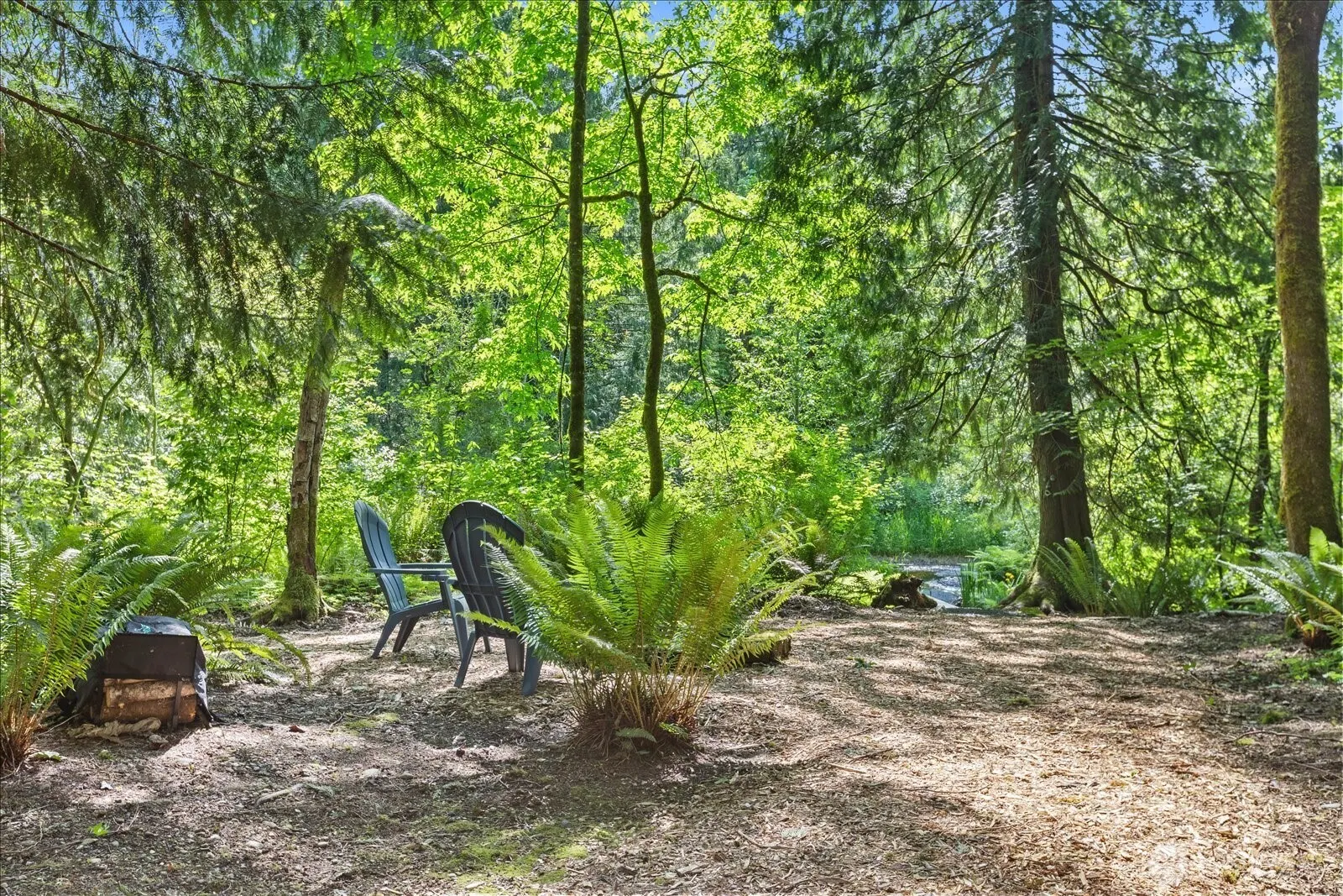 20019 NE 148th Street , Woodinville, WA 98077