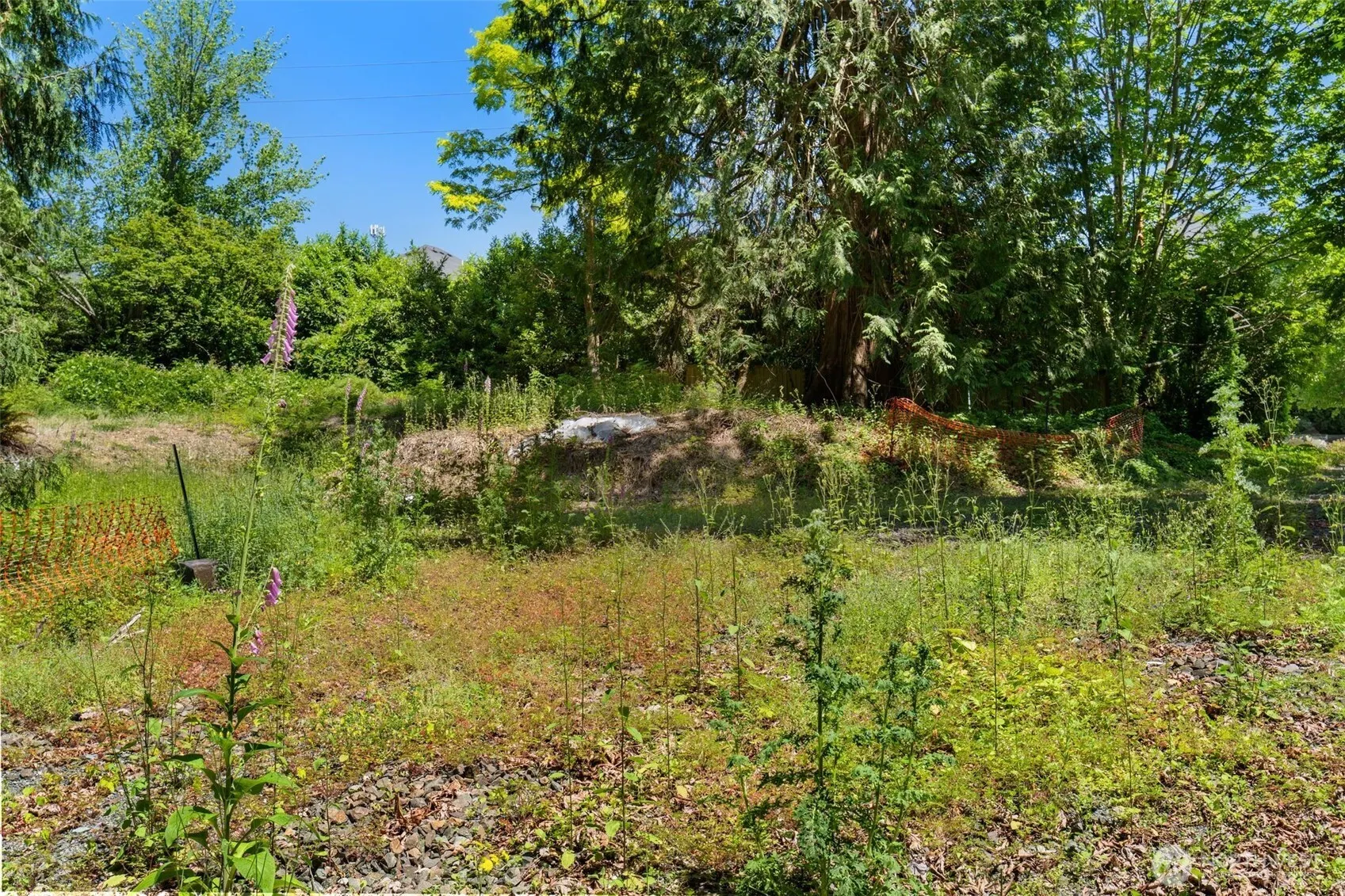 22783 SE 18th Street , Sammamish, WA 98075