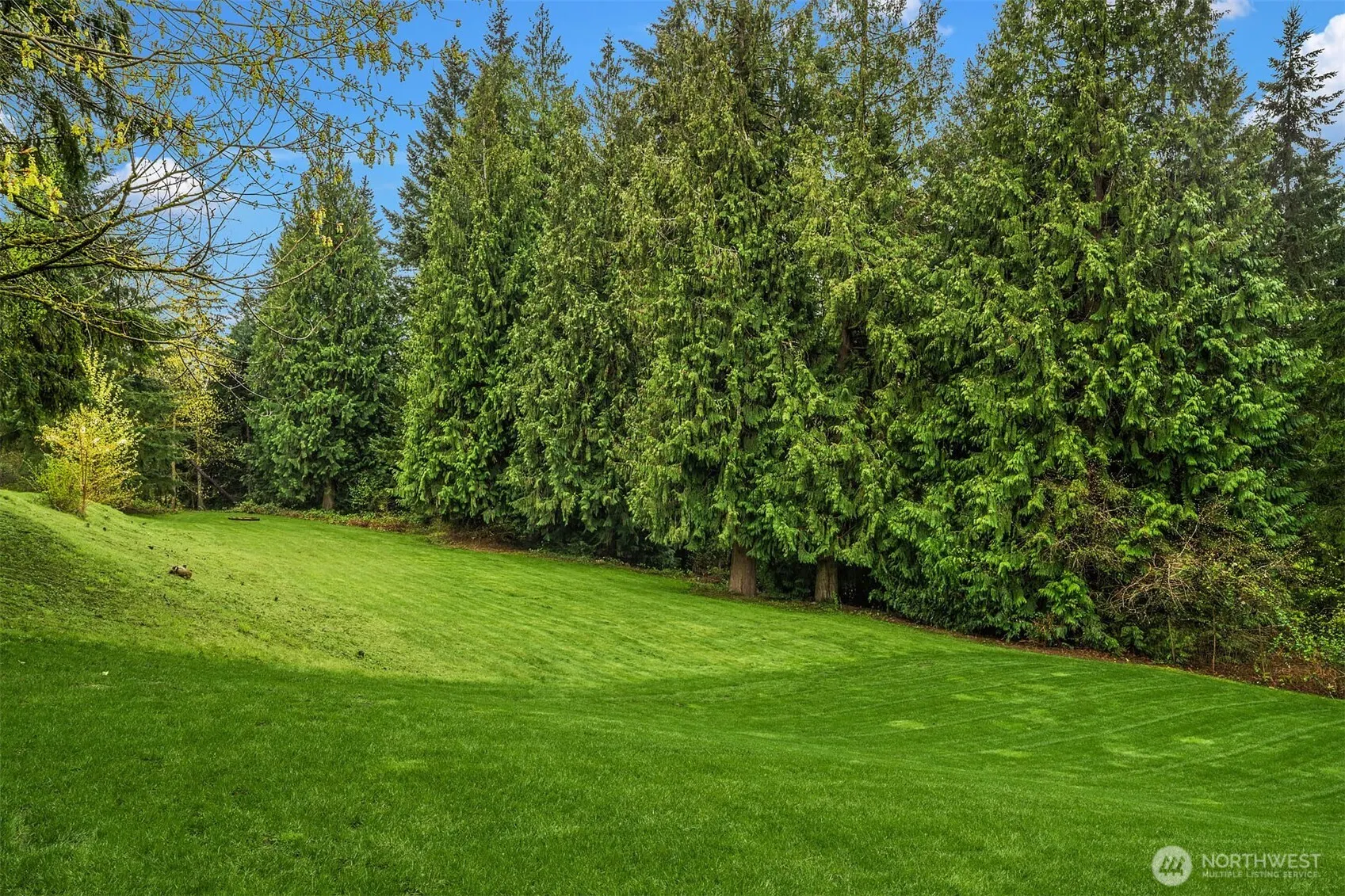 15018 152nd Avenue NE, Woodinville, WA 98072