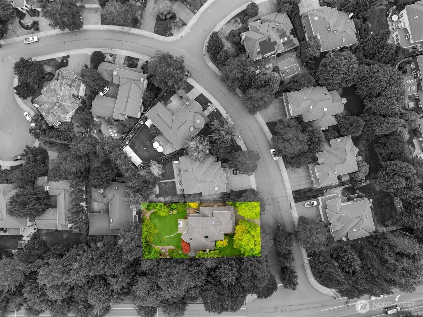 24416 SE 4th Place , Sammamish, WA 98074
