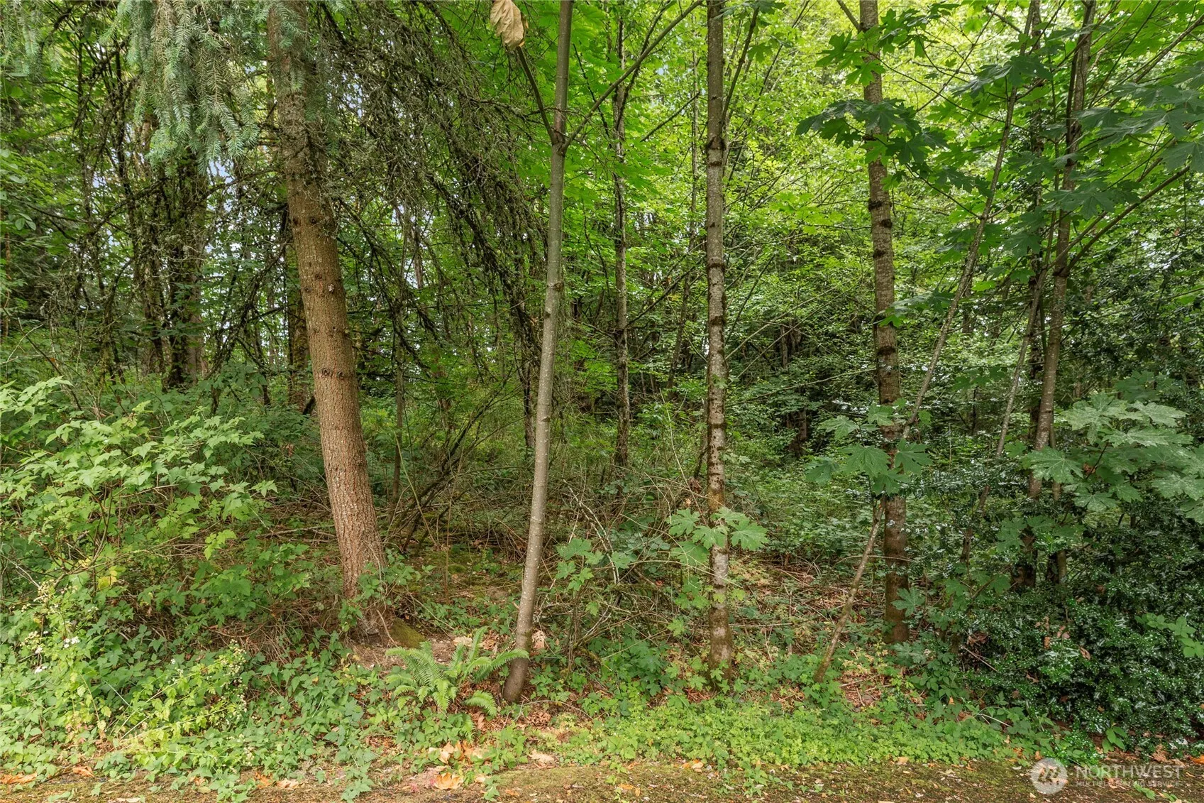 1234 Woodinville Duvall Road , Woodinville, WA 98072