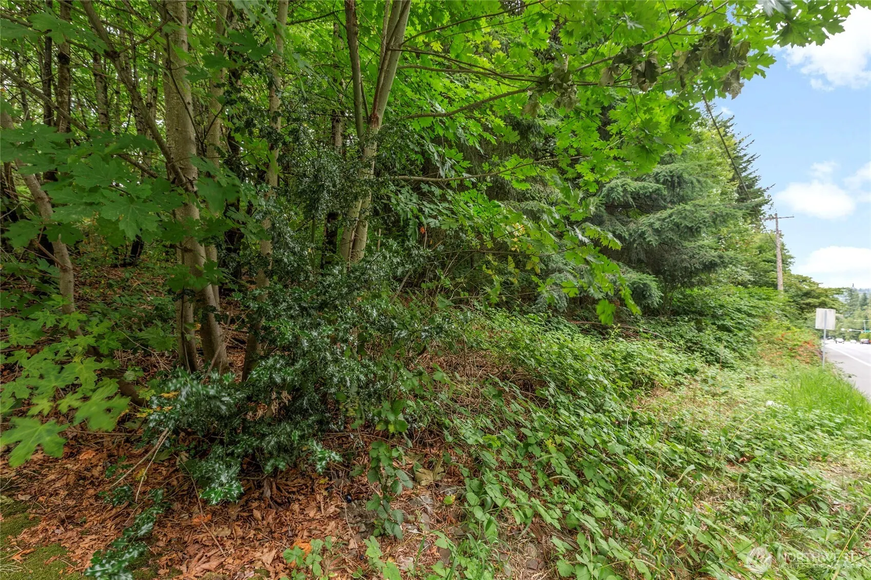 1234 Woodinville Duvall Road , Woodinville, WA 98072