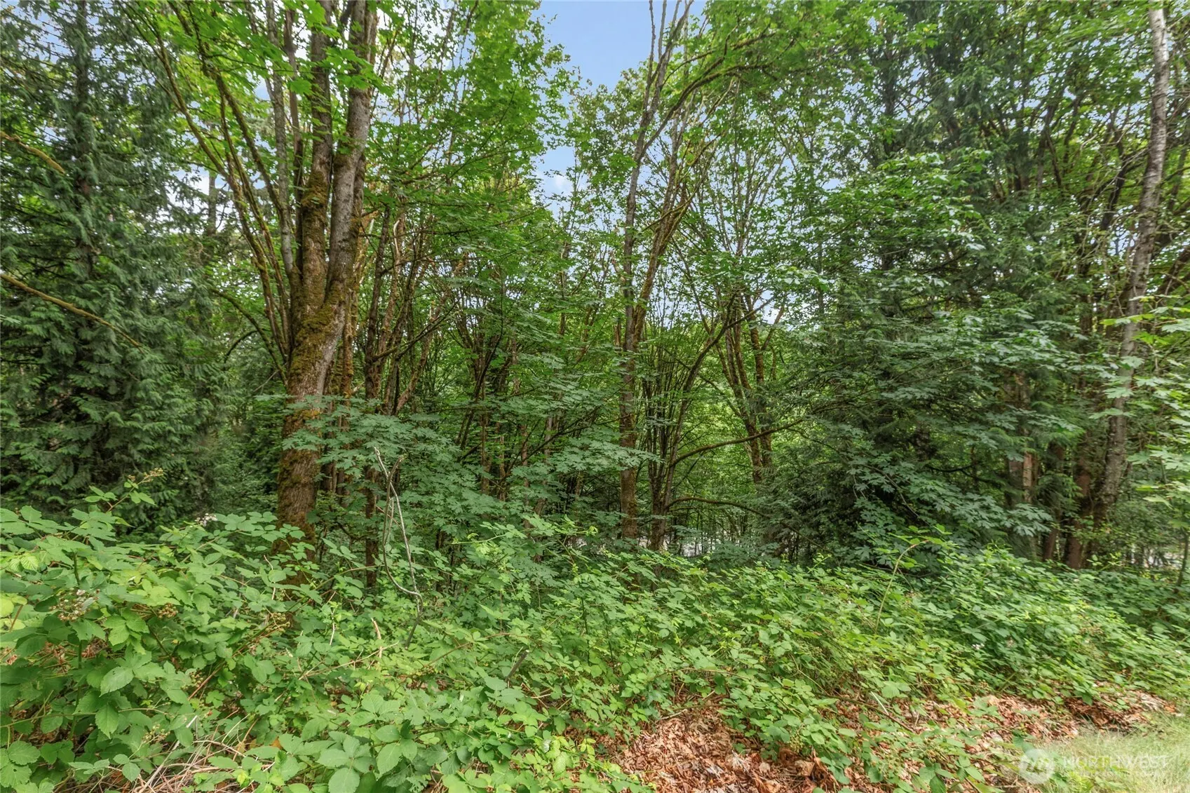 1234 Woodinville Duvall Road , Woodinville, WA 98072