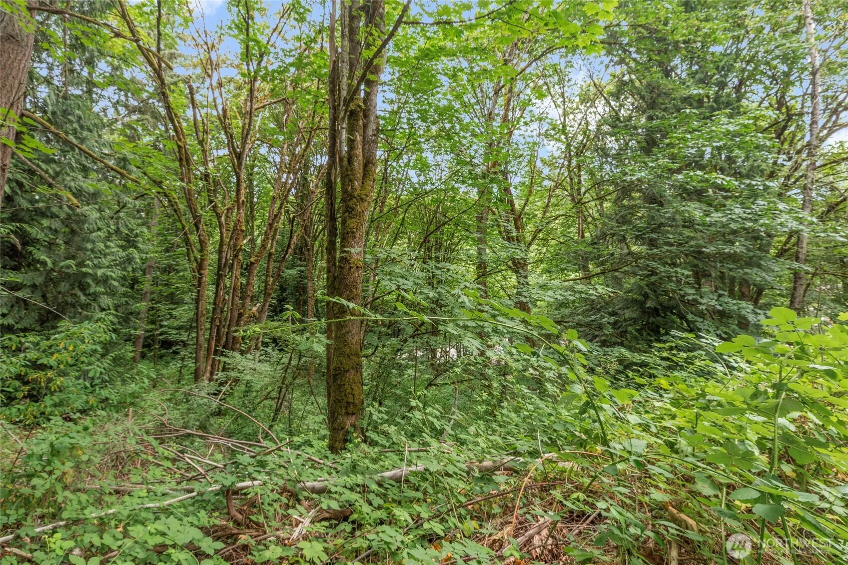 1234 Woodinville Duvall Road , Woodinville, WA 98072