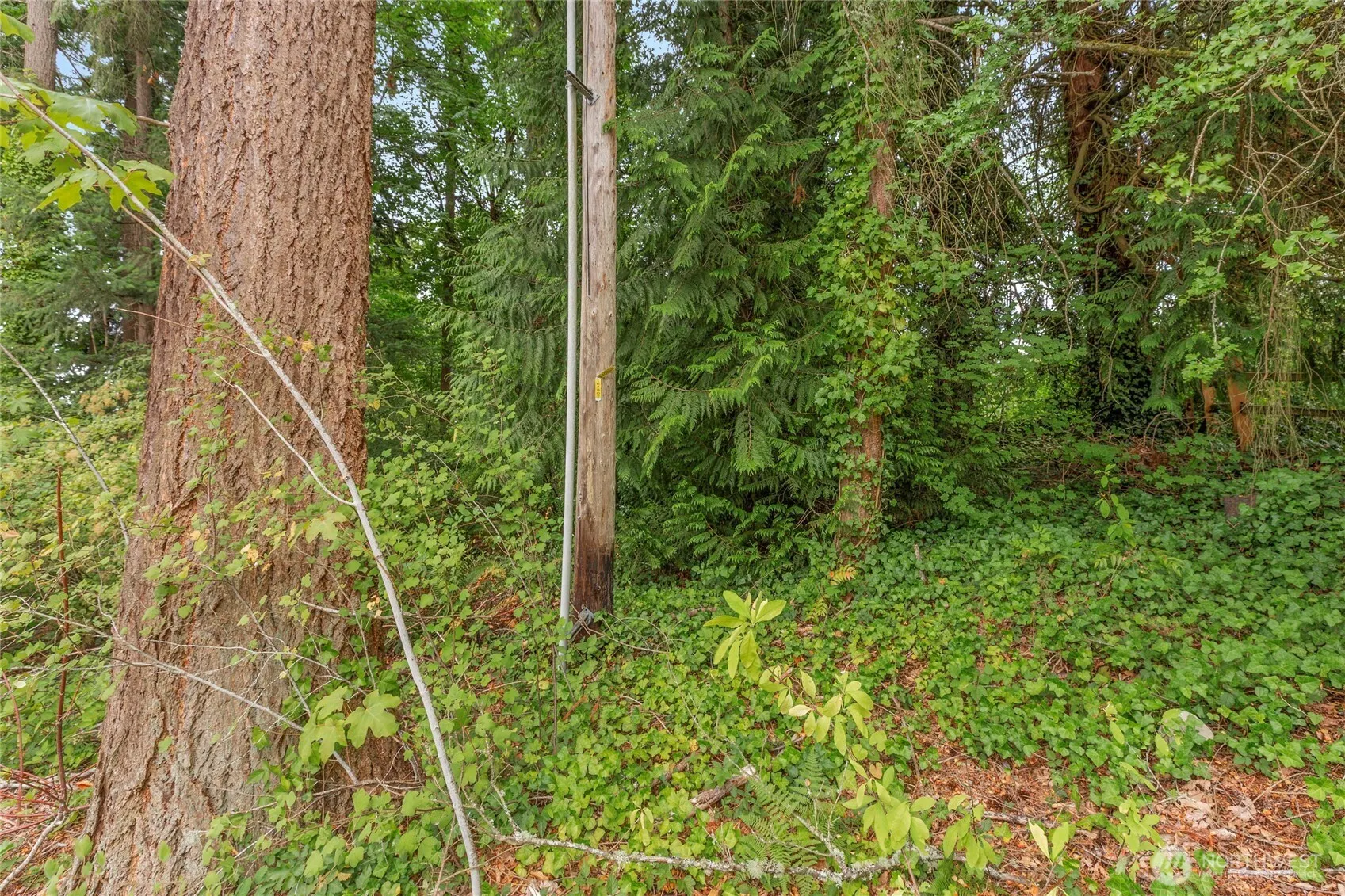 1234 Woodinville Duvall Road , Woodinville, WA 98072