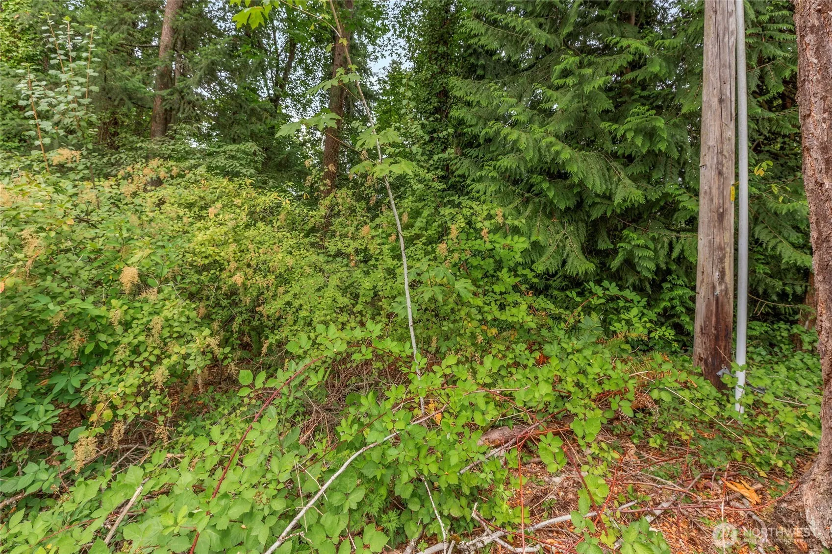 1234 Woodinville Duvall Road , Woodinville, WA 98072