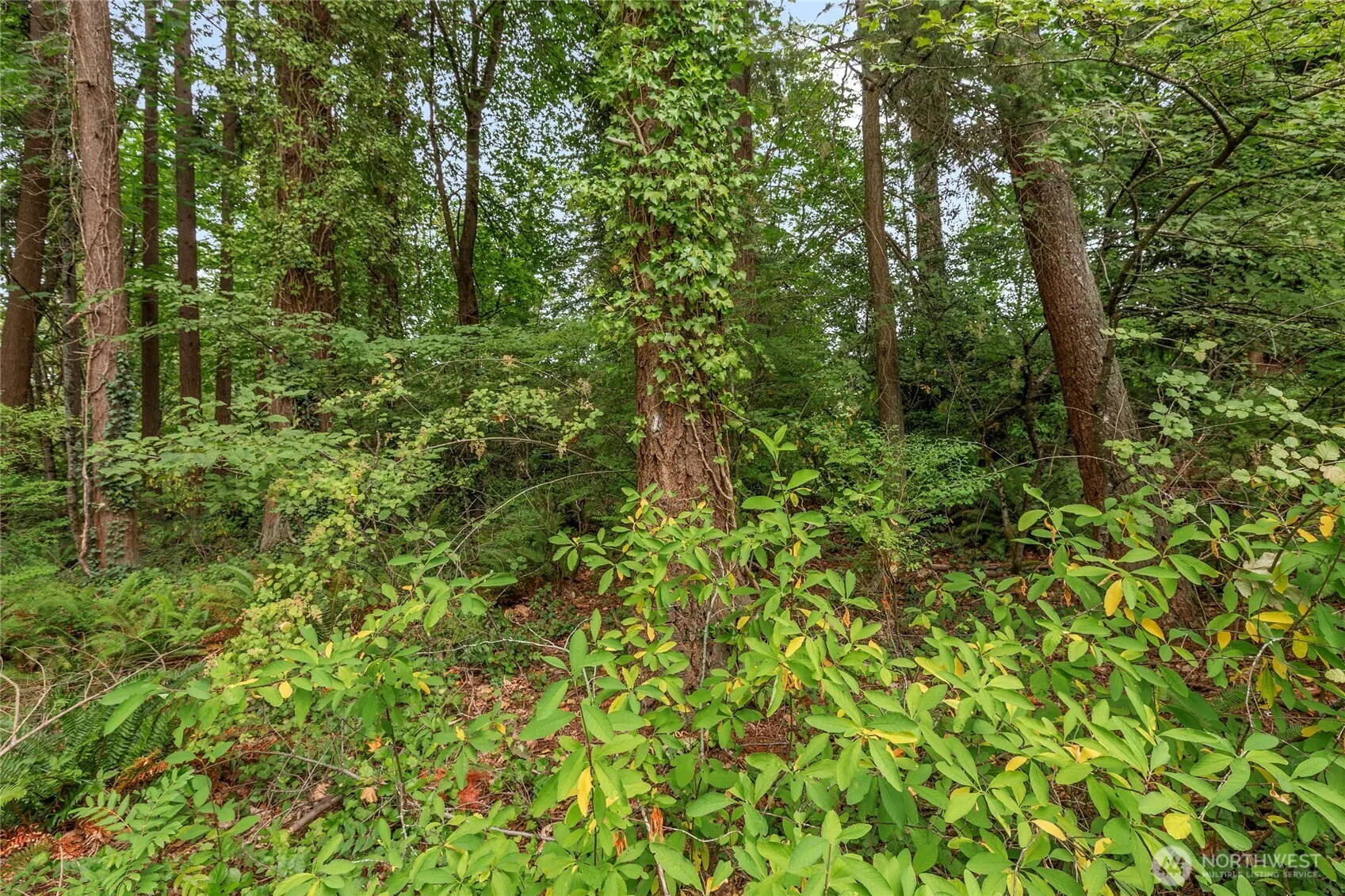 1234 Woodinville Duvall Road , Woodinville, WA 98072