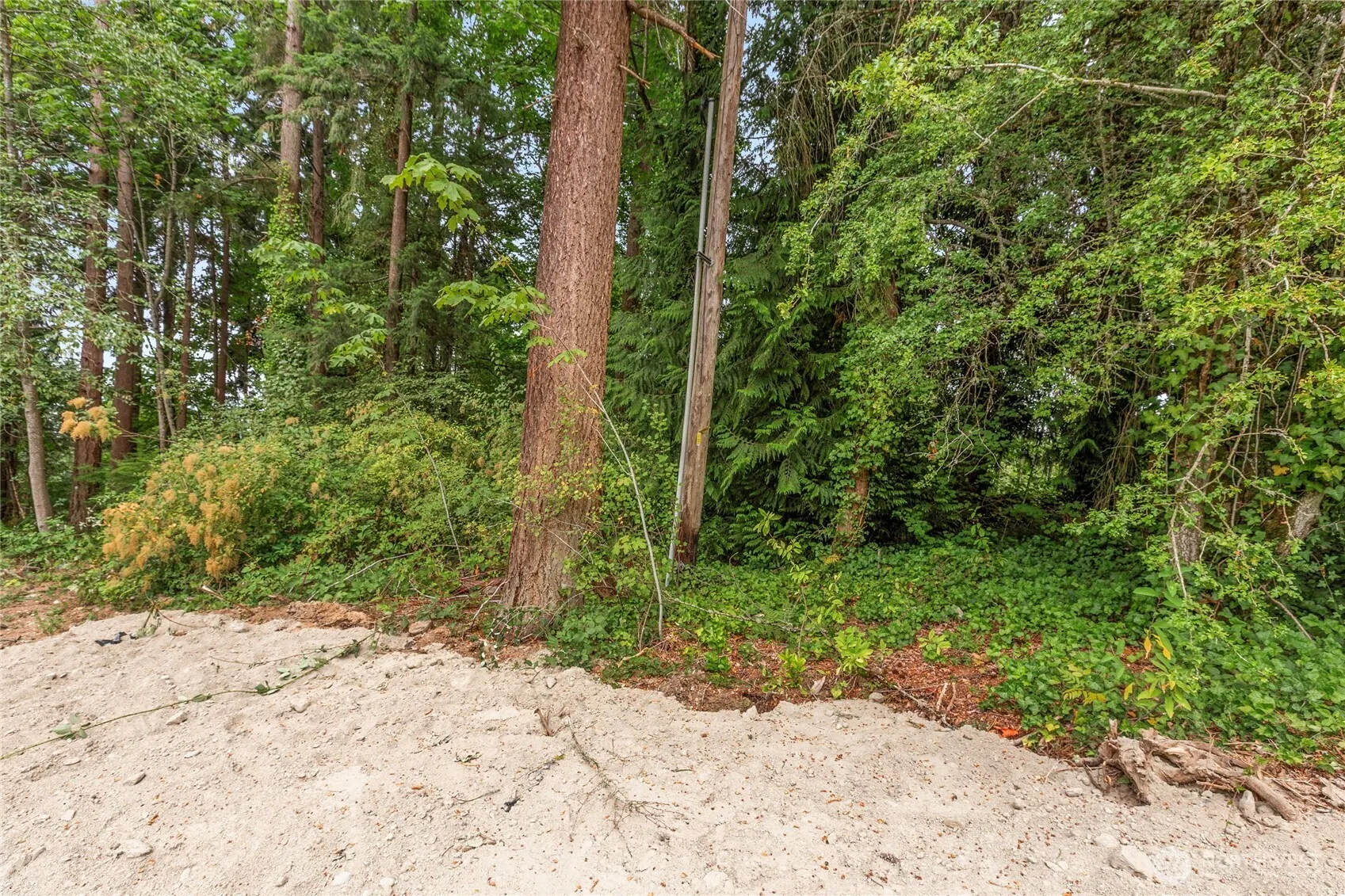 1234 Woodinville Duvall Road , Woodinville, WA 98072