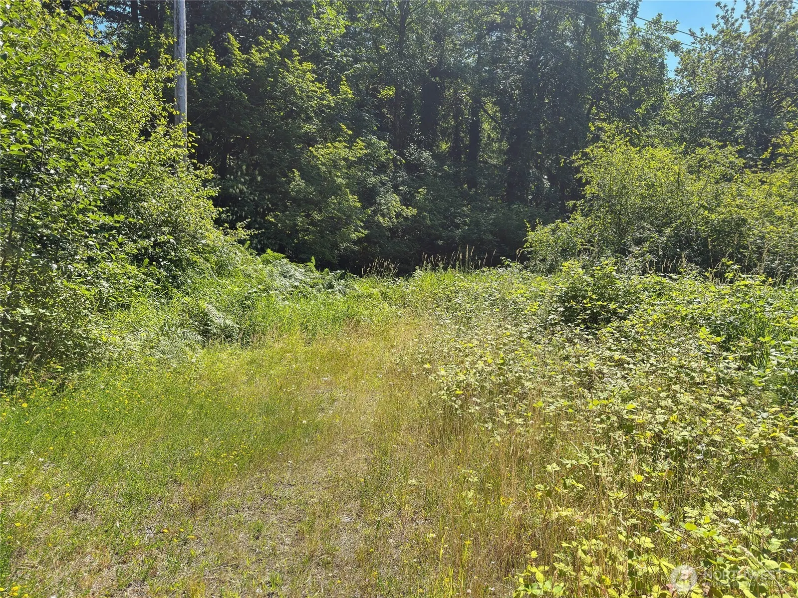 0 Renton Issaquah Road , Issaquah, WA 98027