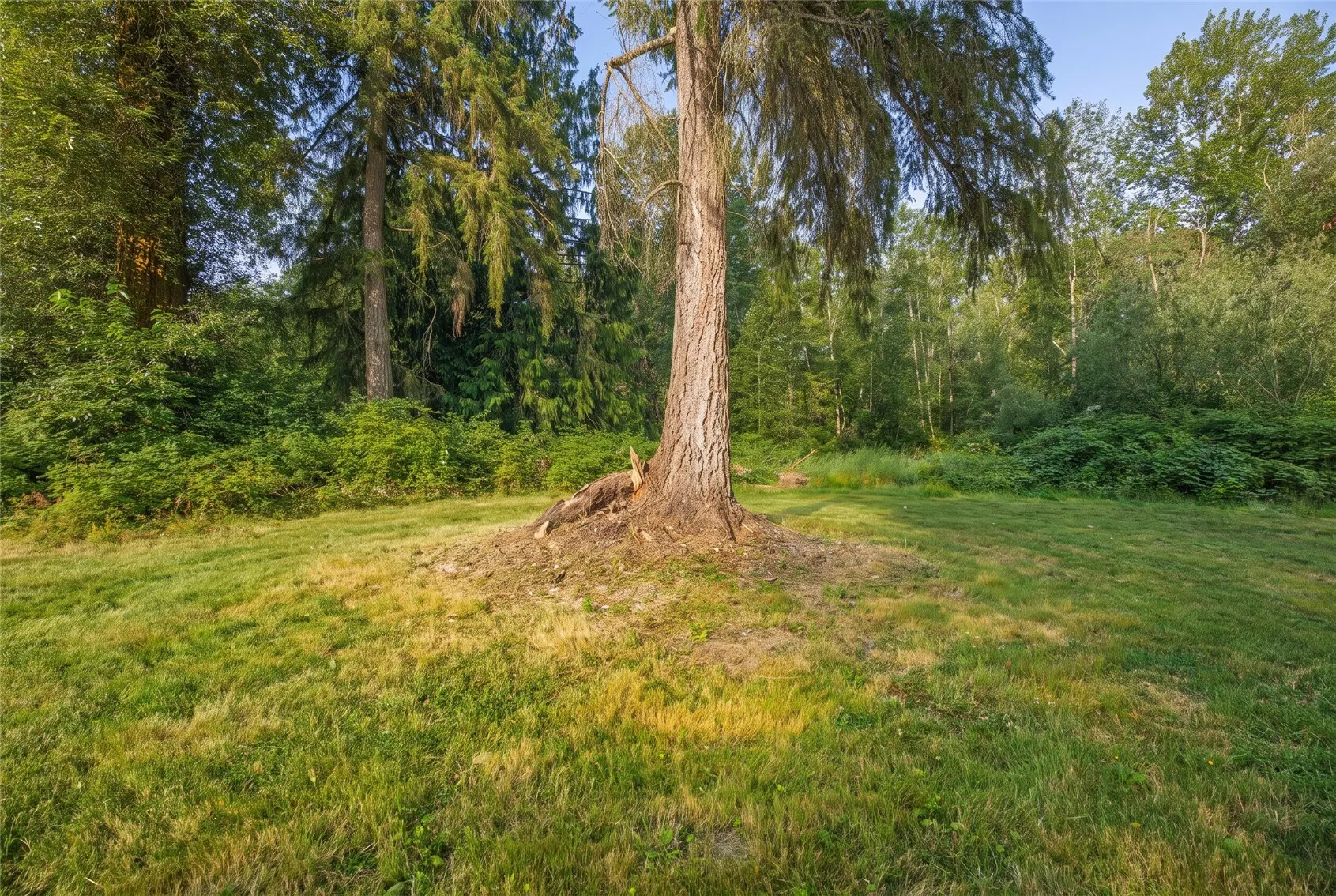18815 176th Avenue NE, Woodinville, WA 98072