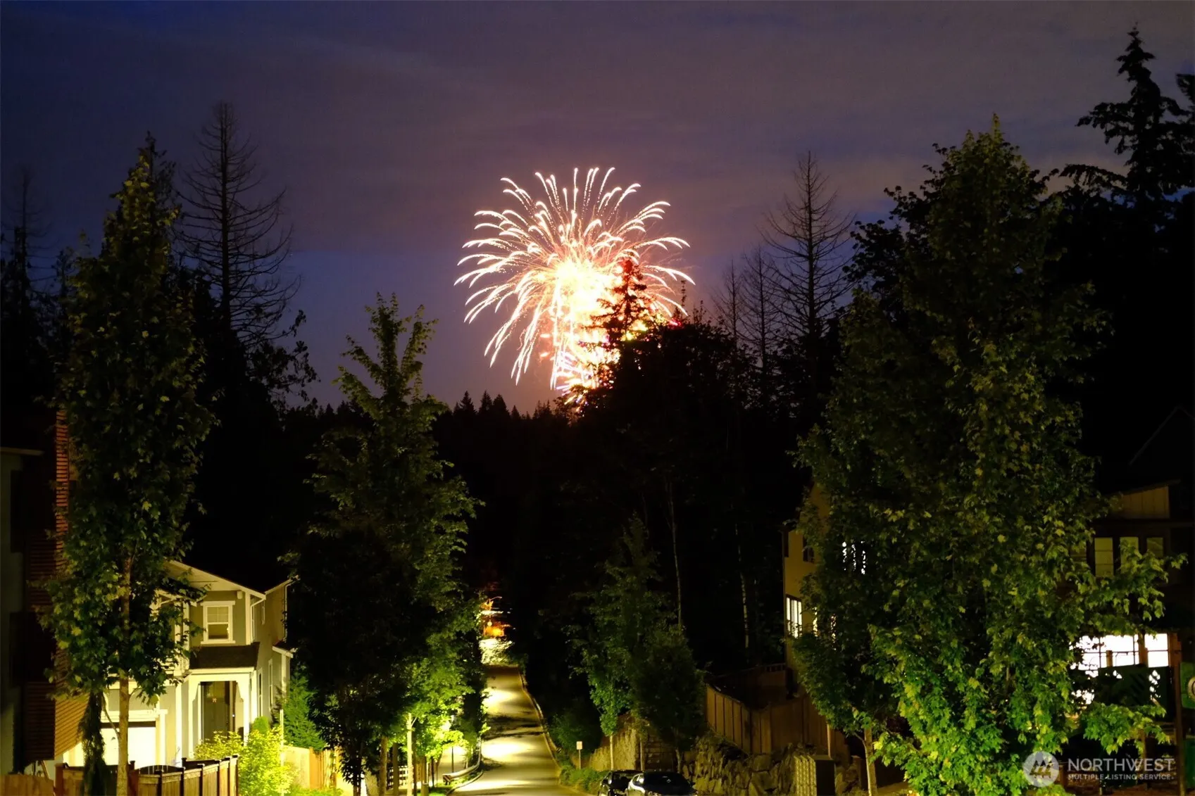 867 224th Avenue NE, Sammamish, WA 98074