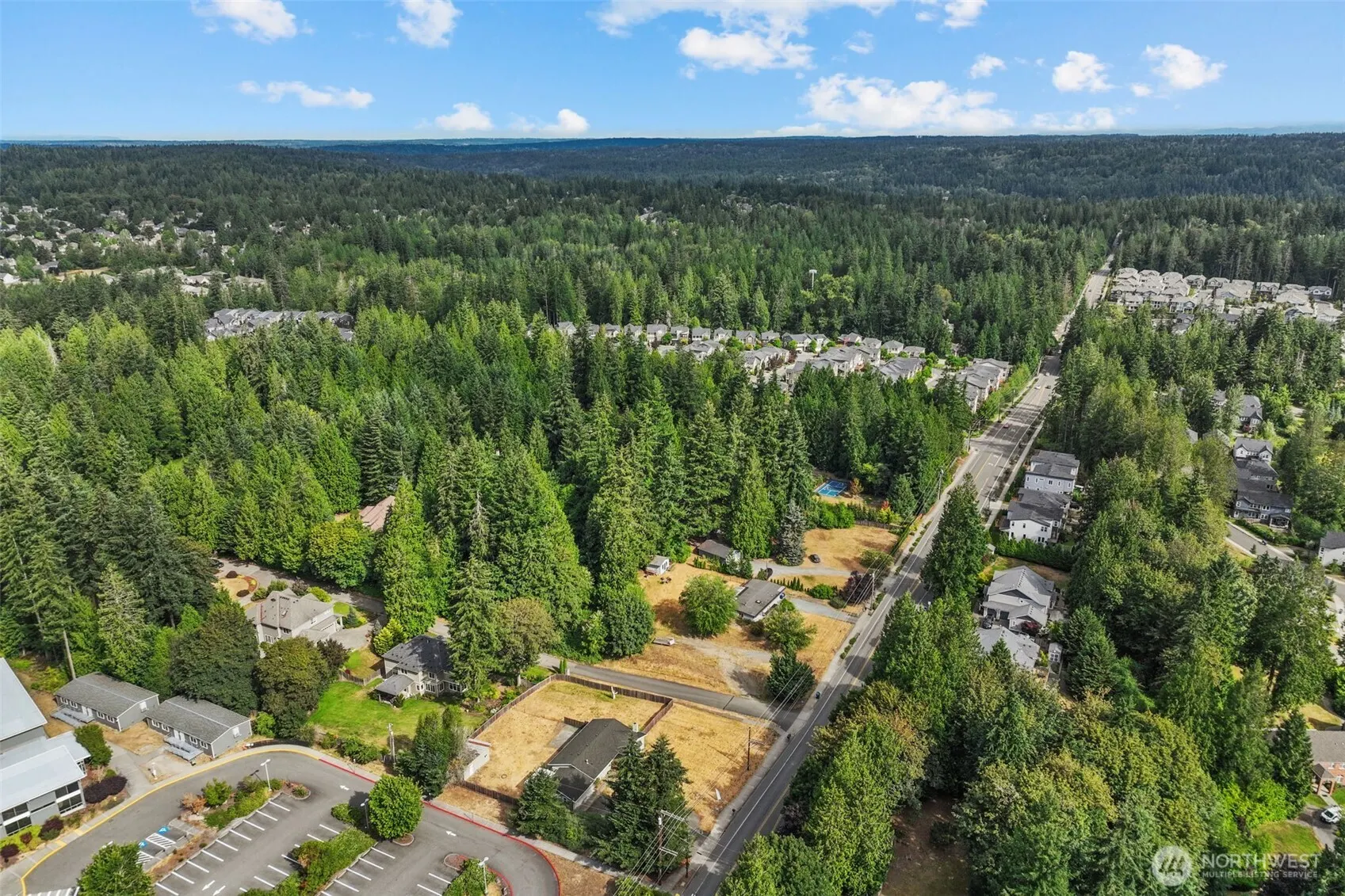 1215 244th Avenue NE, Sammamish, WA 98074-7334
