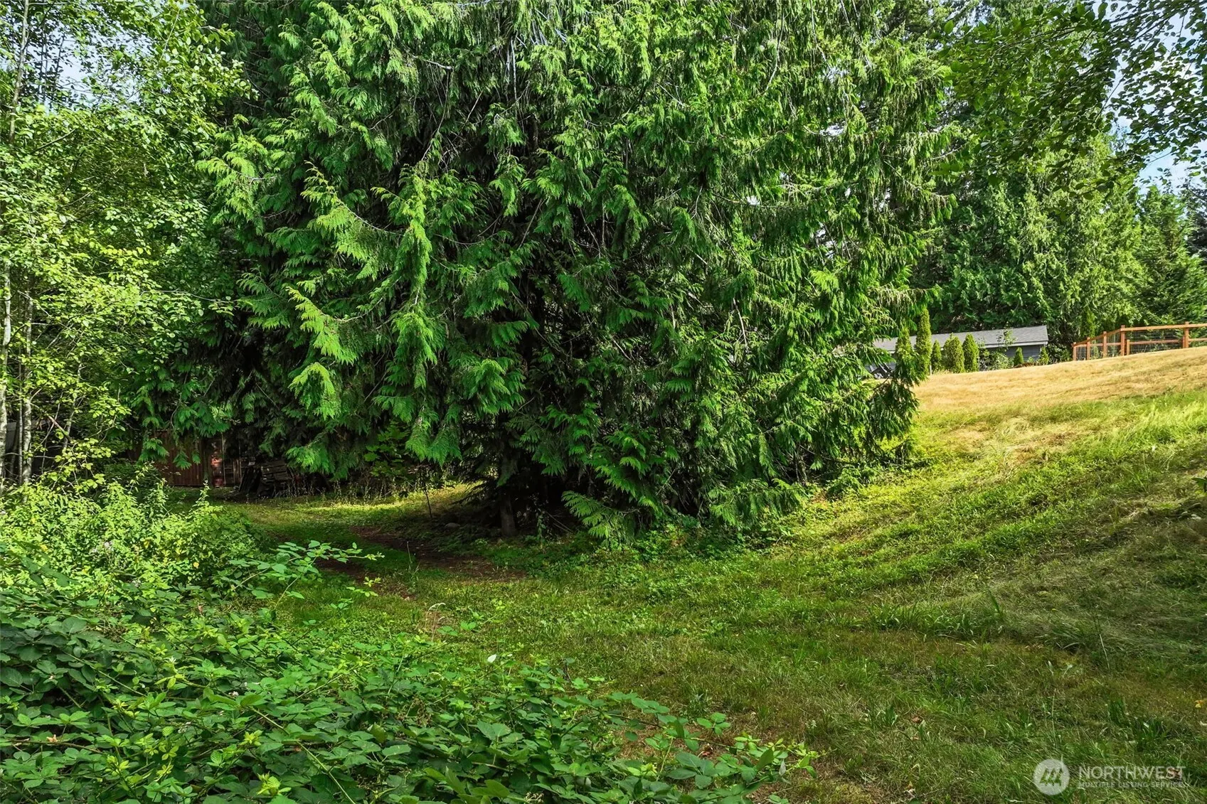 1215 244th Avenue NE, Sammamish, WA 98074-7334