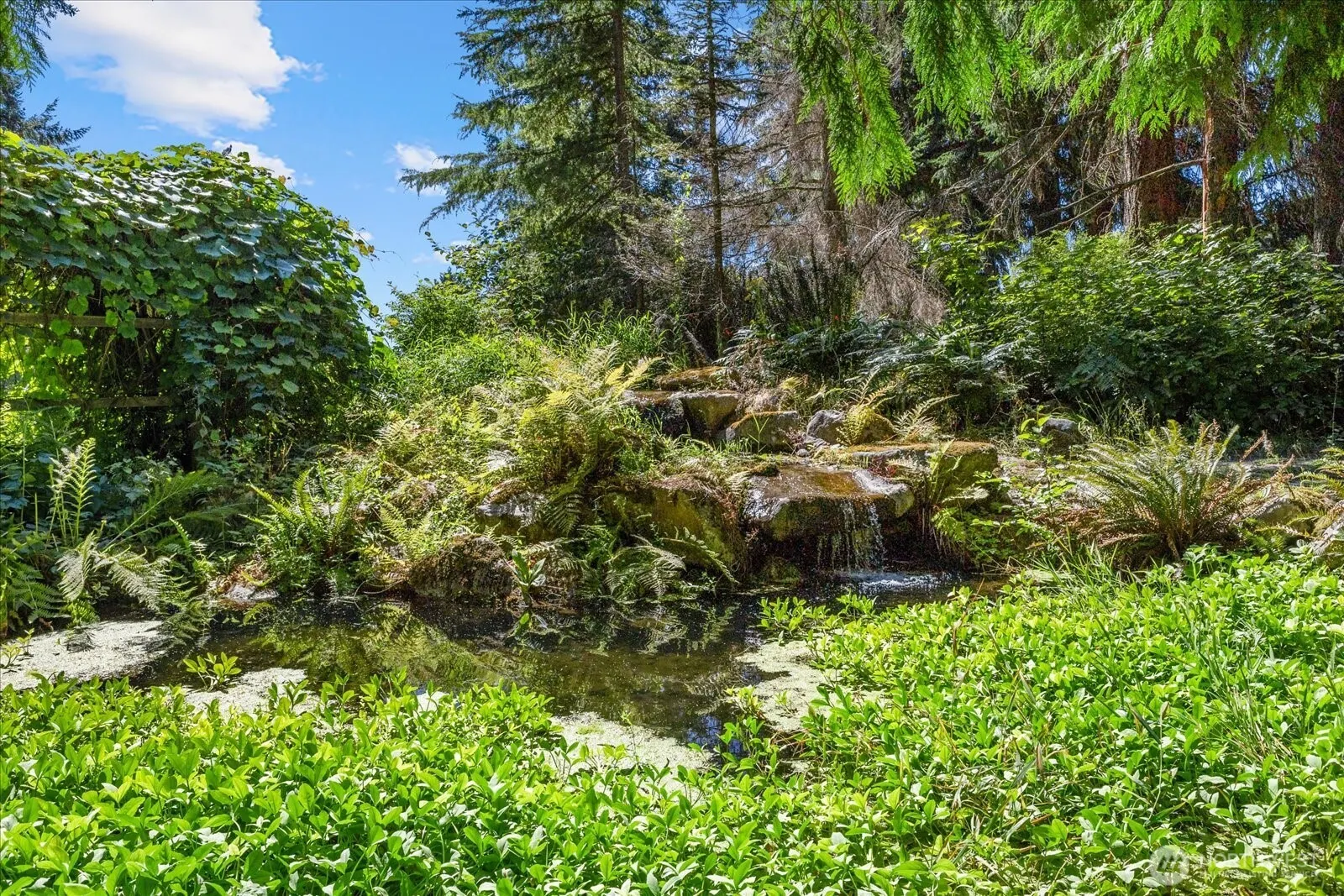 14228 236th Avenue NE, Woodinville, WA 98077