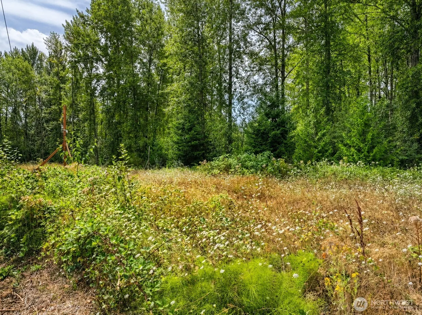 24211 132nd Ave SE , Kent, WA 98042