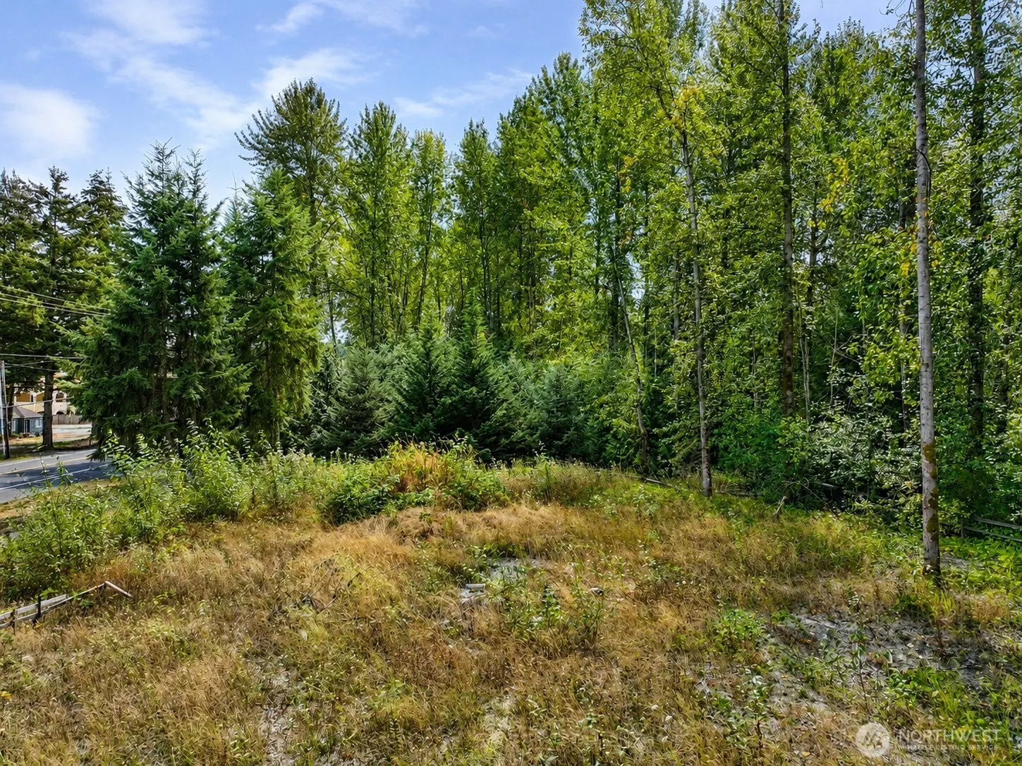 24211 132nd Ave SE , Kent, WA 98042