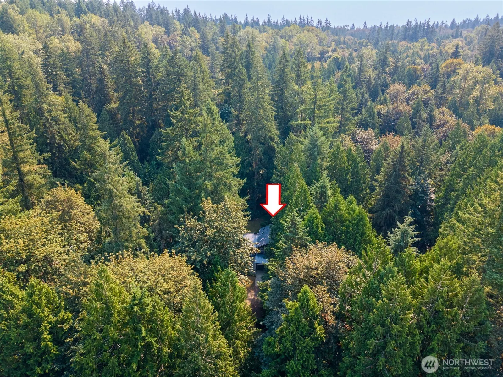 3020 E Ames Lake Drive NE, Redmond, WA 98053