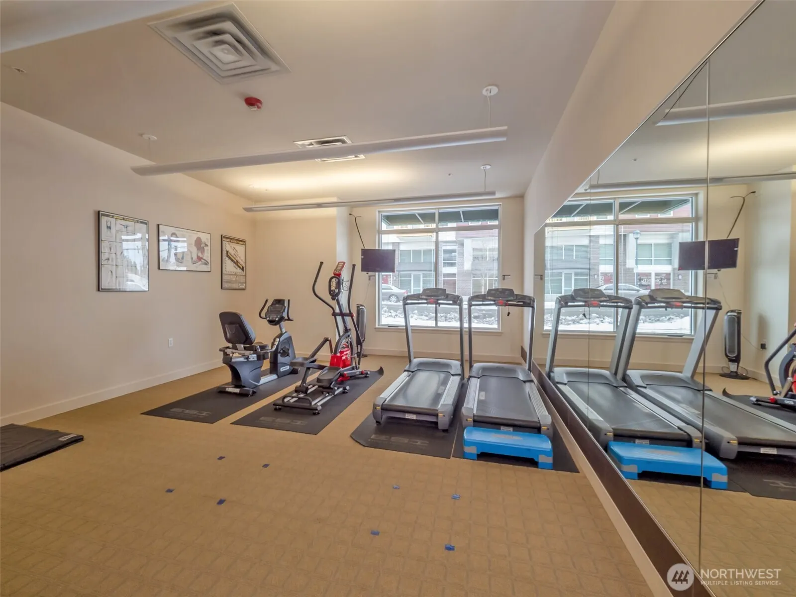 16141 Cleveland Street #213, Redmond, WA 98052