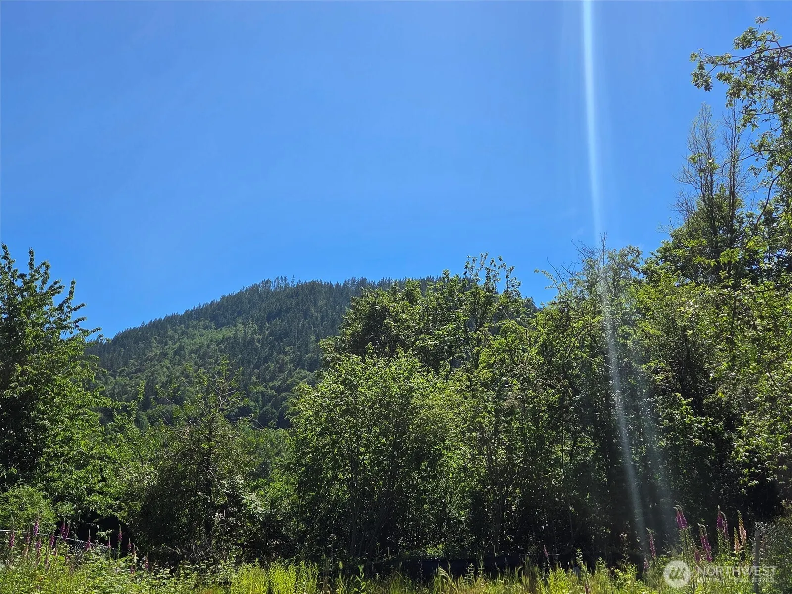 885 Front Street S, Issaquah, WA 98027