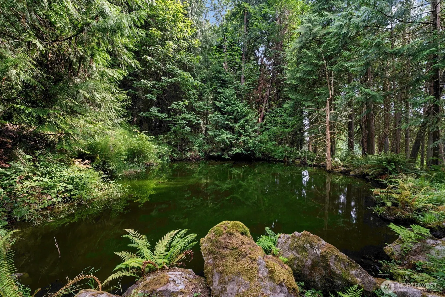 25235 SE Mirrormont Drive , Issaquah, WA 98027