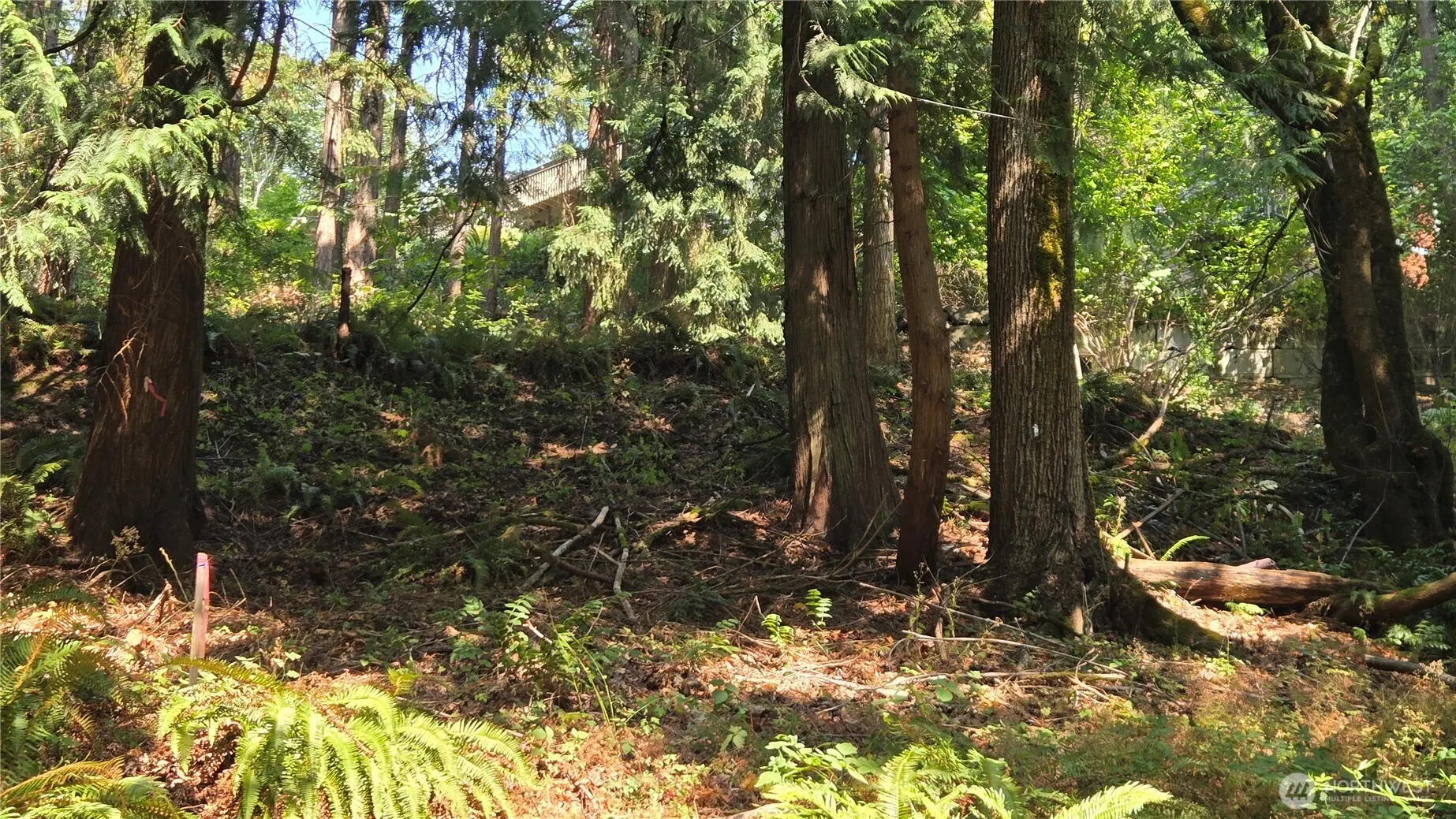1320 207th Place NE, Sammamish, WA 98074