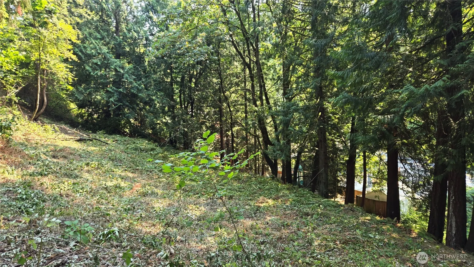 1320 207th Place NE, Sammamish, WA 98074