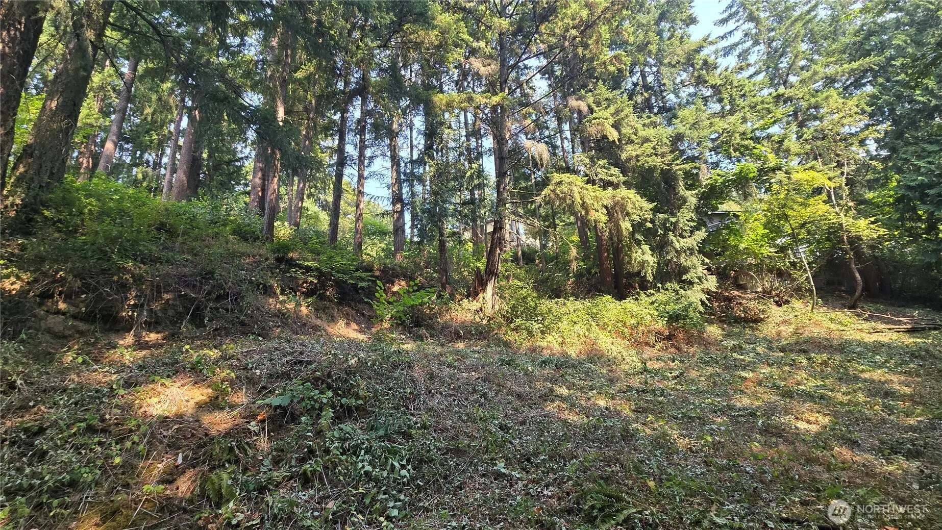 1320 207th Place NE, Sammamish, WA 98074