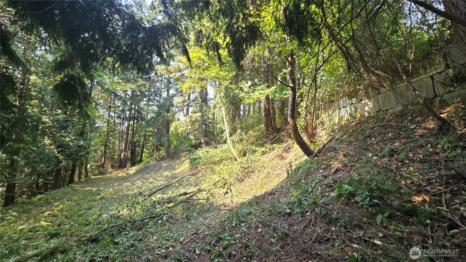 1320 207th Place NE, Sammamish, WA 98074